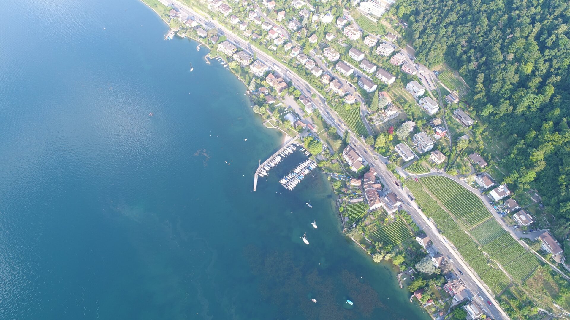 Luftaufnahme einer Stadt am See mit einem Jachthafen, Wohngebäuden, Straßen und dichtem Grün entlang der Wasserkante.