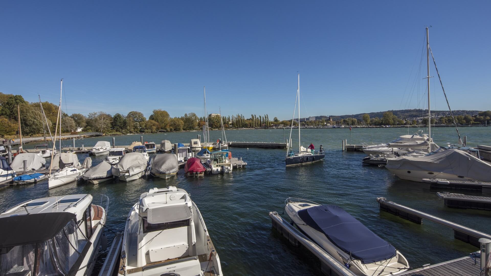 Mehrere Boote und Jachten liegen in einem Jachthafen an einem ruhigen See vor Anker. Im Hintergrund sind der klare Himmel und die Bäume entlang des Ufers zu sehen.