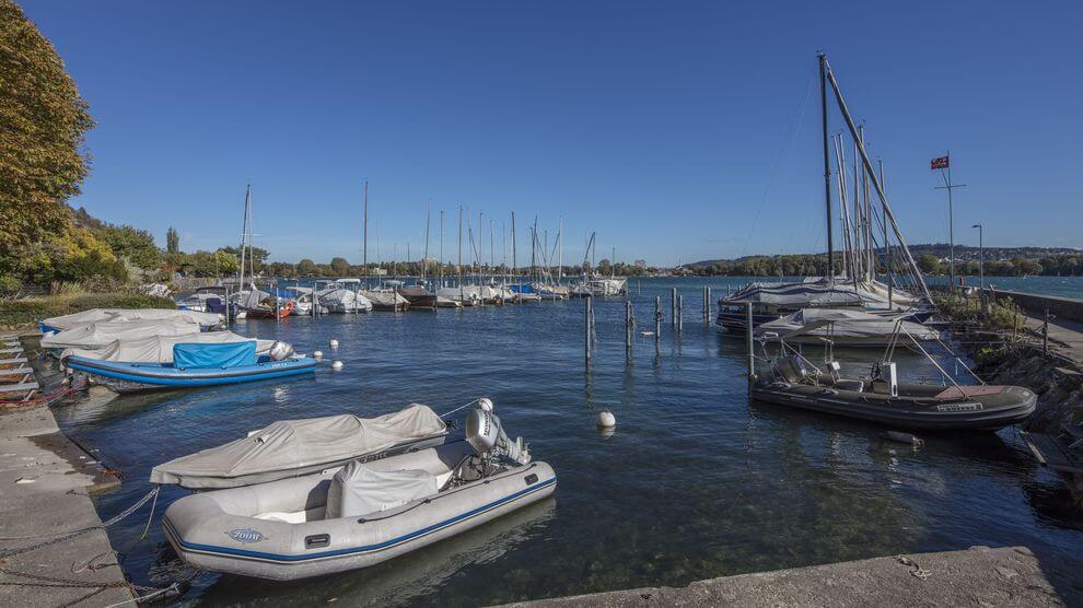 Boote und Segelboote liegen an einem ruhigen, klaren Tag in einem Jachthafen vor Anker, mit Bäumen und einem blauen Himmel im Hintergrund.