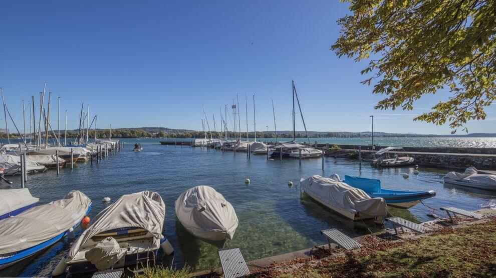 Kleine Boote und Segelboote, die an einem klaren Tag in einem Jachthafen angedockt sind, mit ruhigem Wasser, blauem Himmel und teilweise sichtbaren Bäumen im Vordergrund.