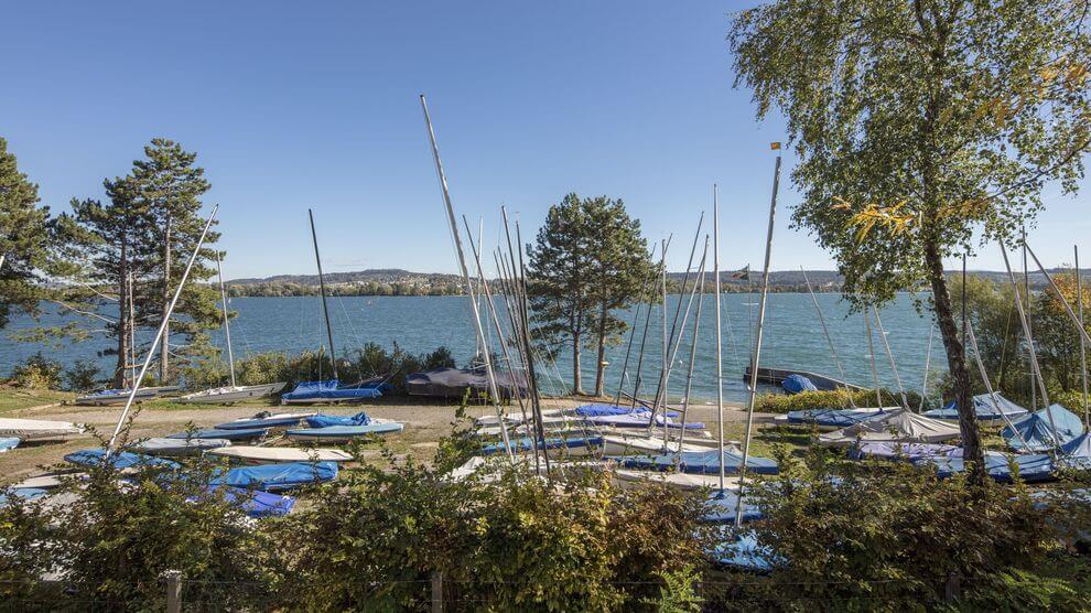 Mehrere kleine Segelboote, einige mit blauen Planen bedeckt, liegen am Ufer eines Sees mit Bäumen und fernen Hügeln unter einem klaren Himmel.